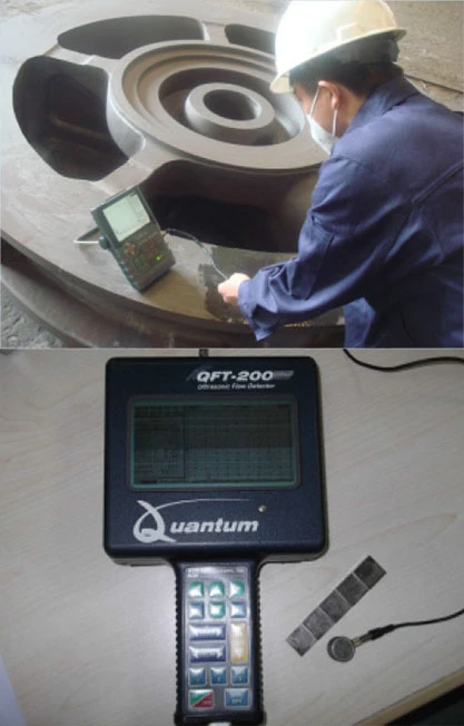 sow molds 6
